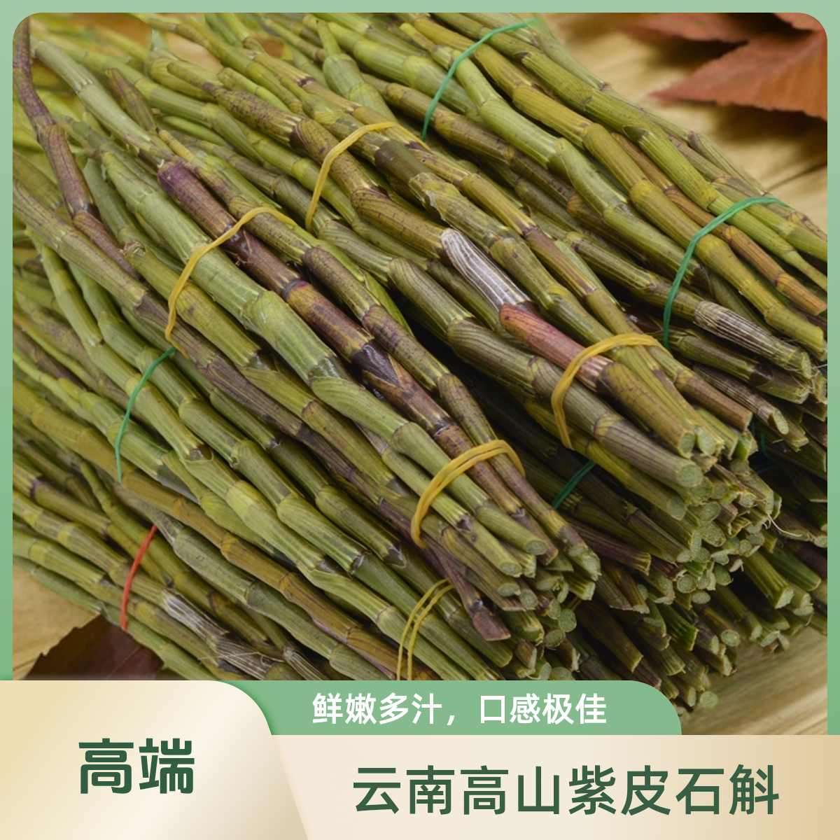 紫皮石斛鲜条500克 云南高山原生环境种植紫皮石斛新鲜石斛滋补品