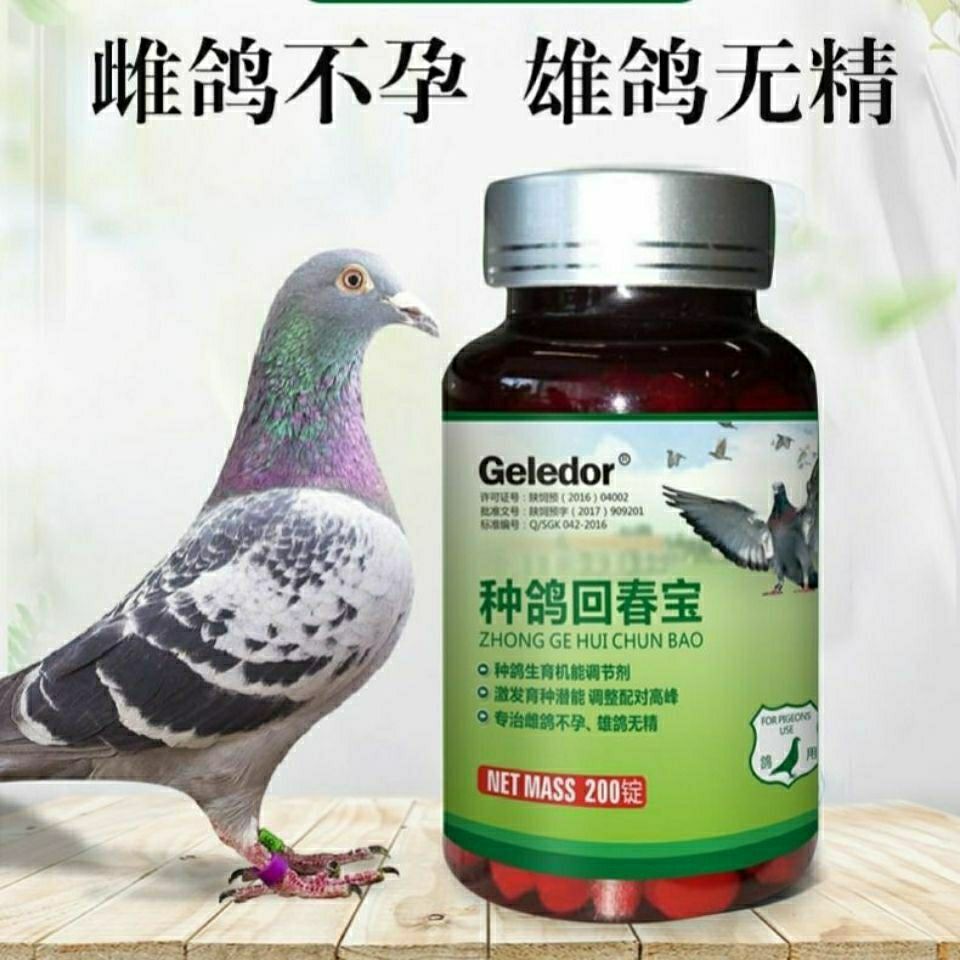 格莱德  种鸽回春宝 