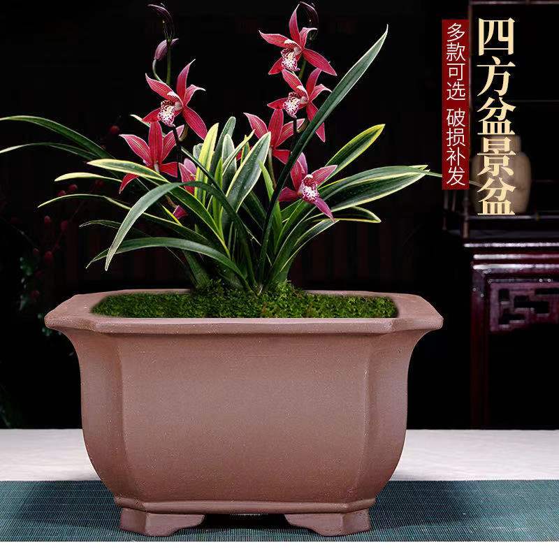 宜兴紫砂花盆四方