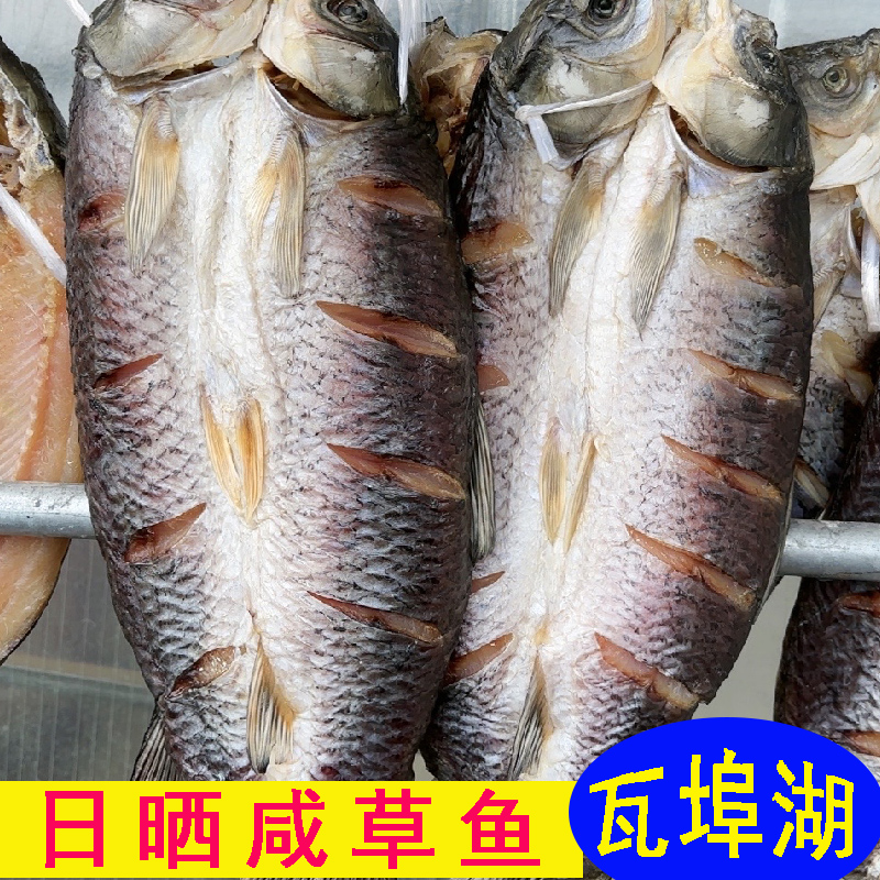 正宗安徽大干鱼大草鱼风干咸鱼晒干大混子肉厚鱼腌制盐鱼干腊鱼肉