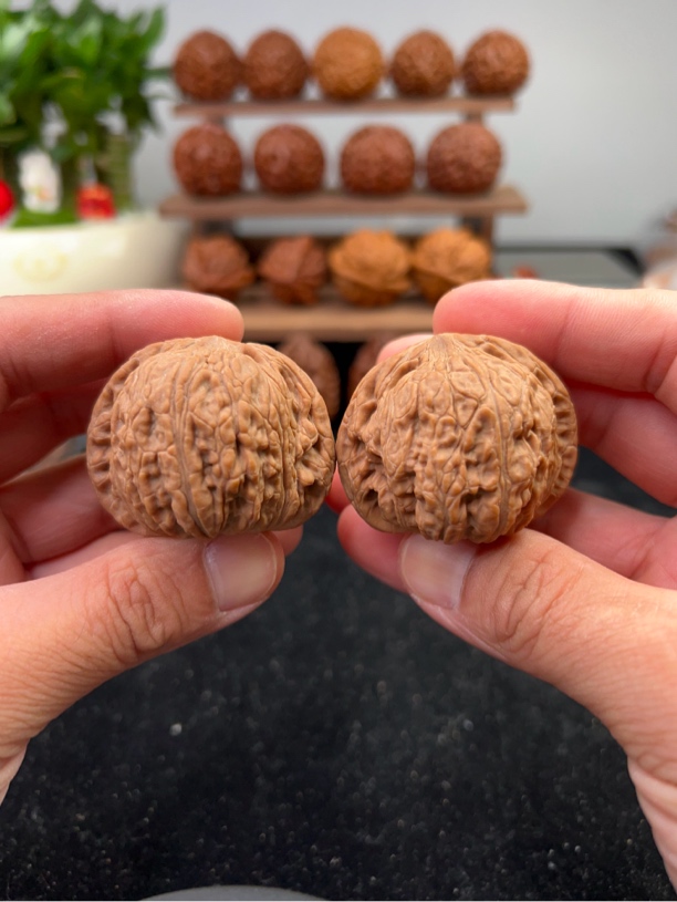 文玩核桃泥鳅背46尺寸