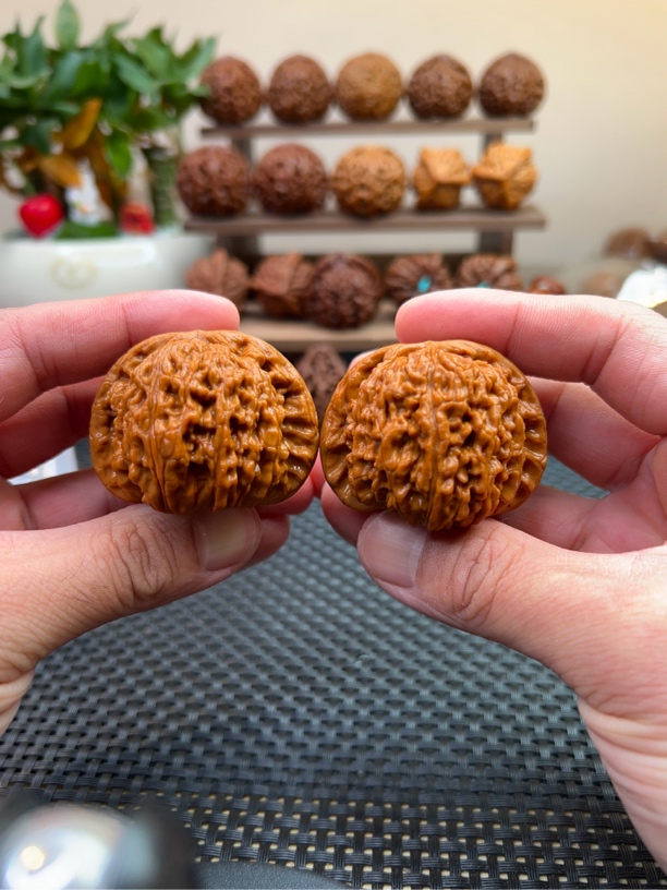 文玩核桃闷尖白狮子49尺寸