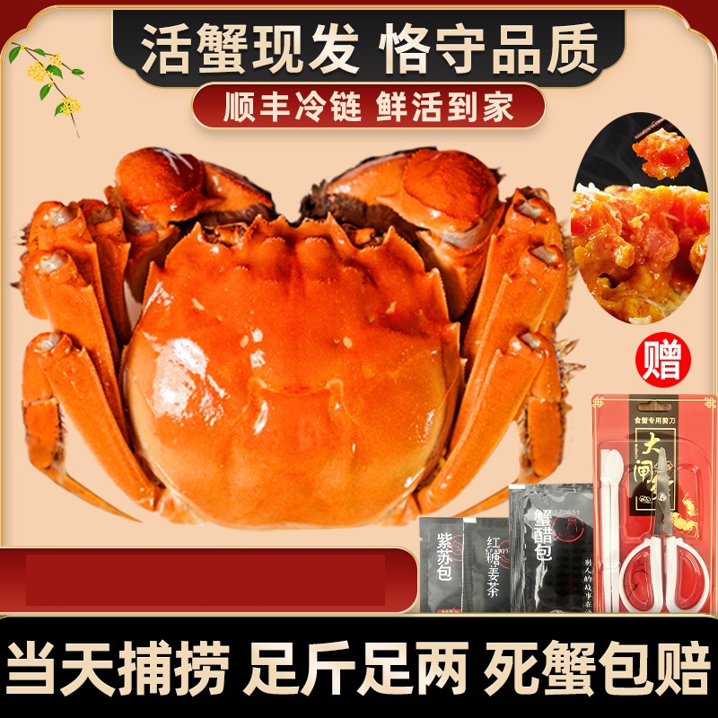 【活蟹】苏州大闸蟹3两重母10只礼盒装鲜活到家顺丰包邮