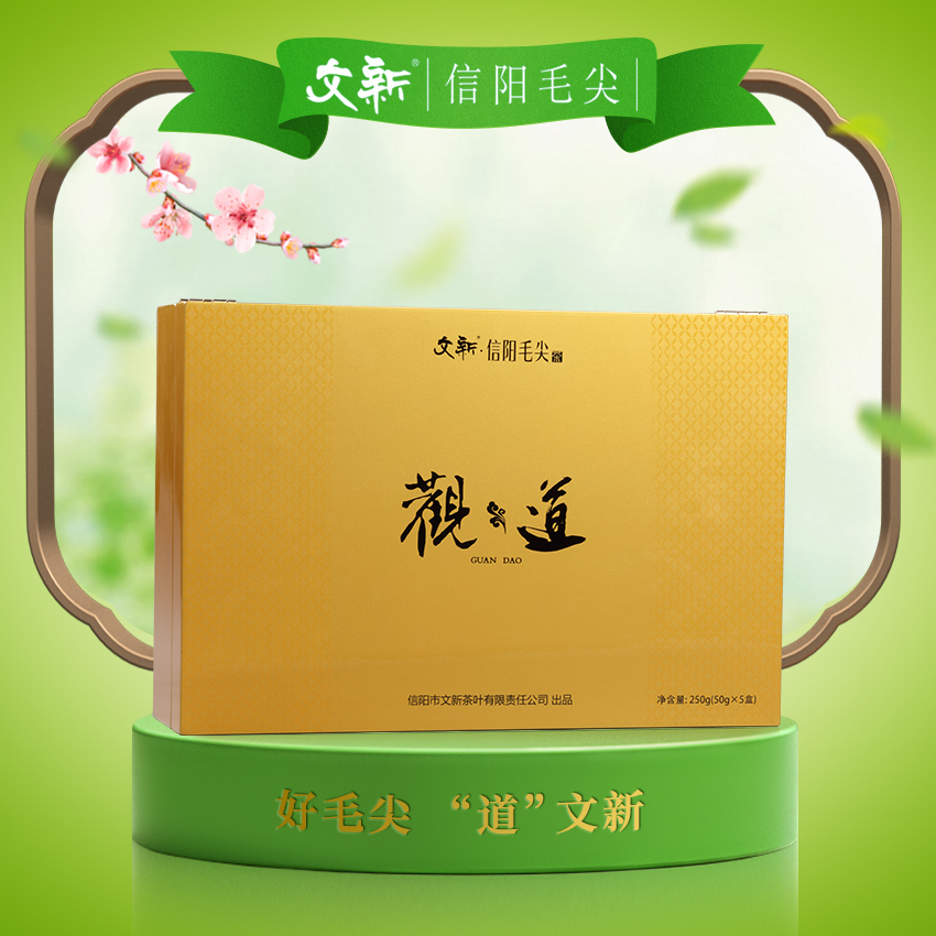 文新信阳毛尖2024年明前250g精品观道毛尖茶鲜嫩