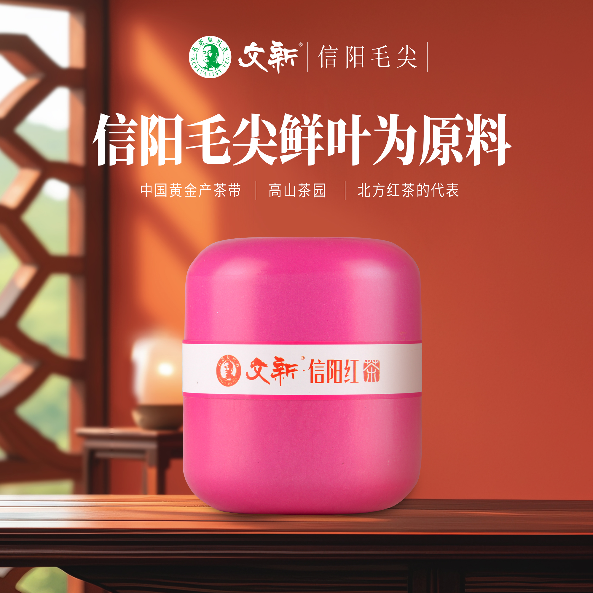 文新信阳红茶粉罐装50g