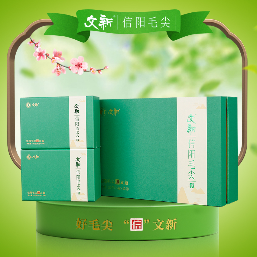 WenXin Tea/文新2023年文新信阳毛尖250g绿礼盒茶春茶绿茶盒装