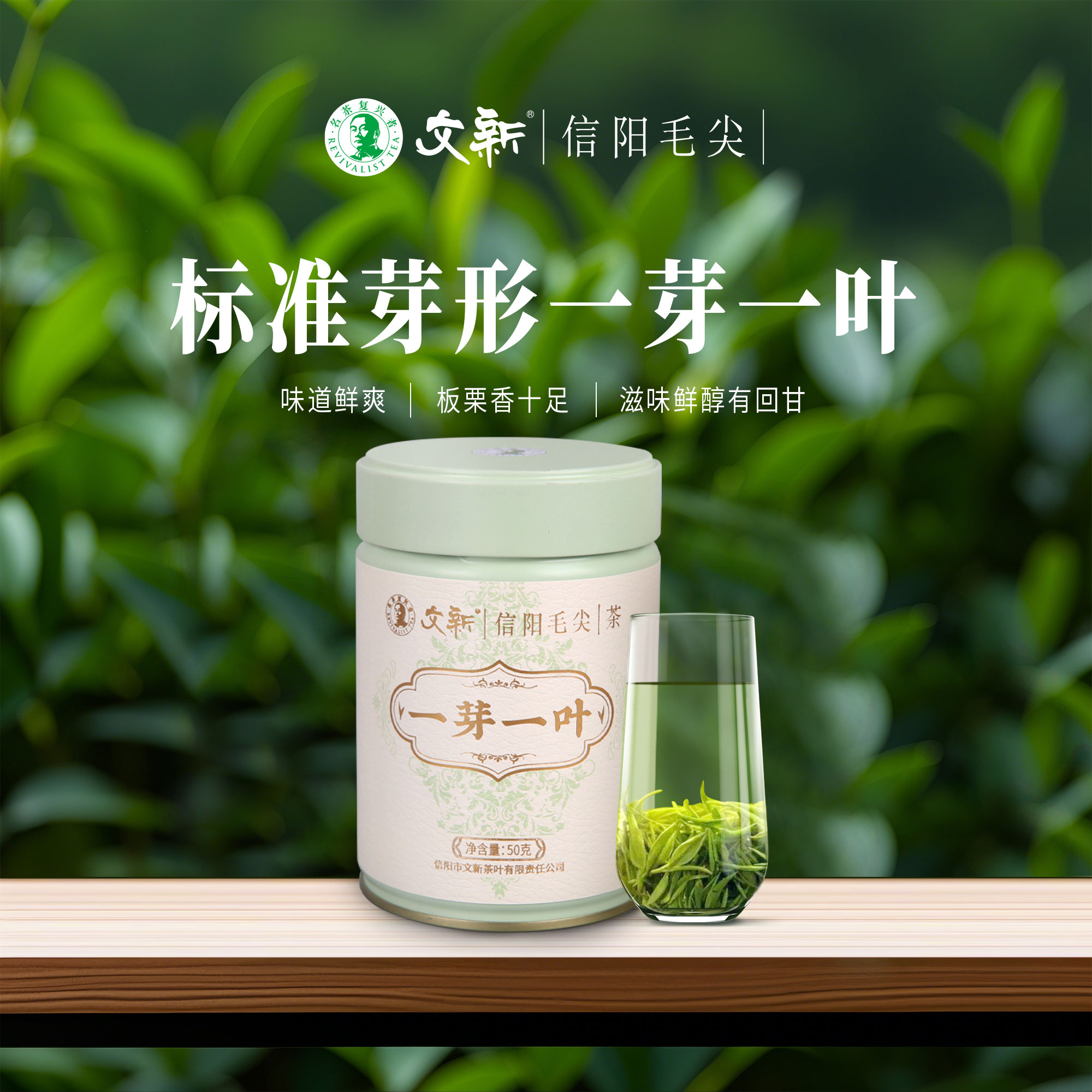 【2025年新茶】文新信阳毛尖50g罐装雨前散装一芽一叶款