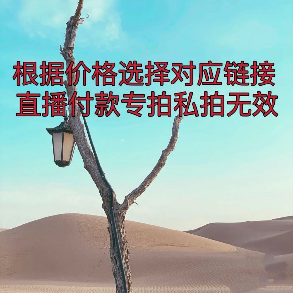 新疆戈壁奇石直播专用链接 按相应价格付款