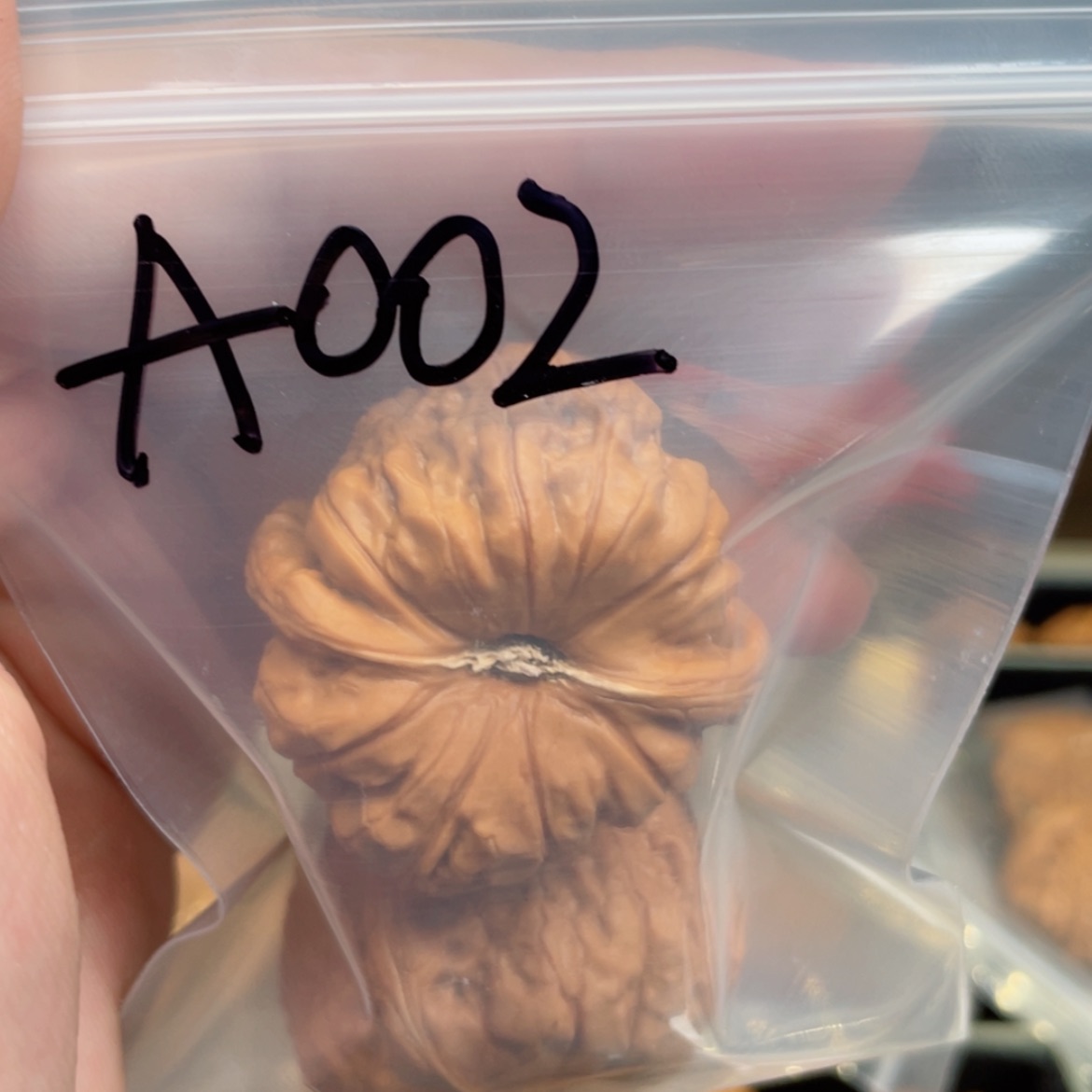 【闪购商品】桃核吊坠