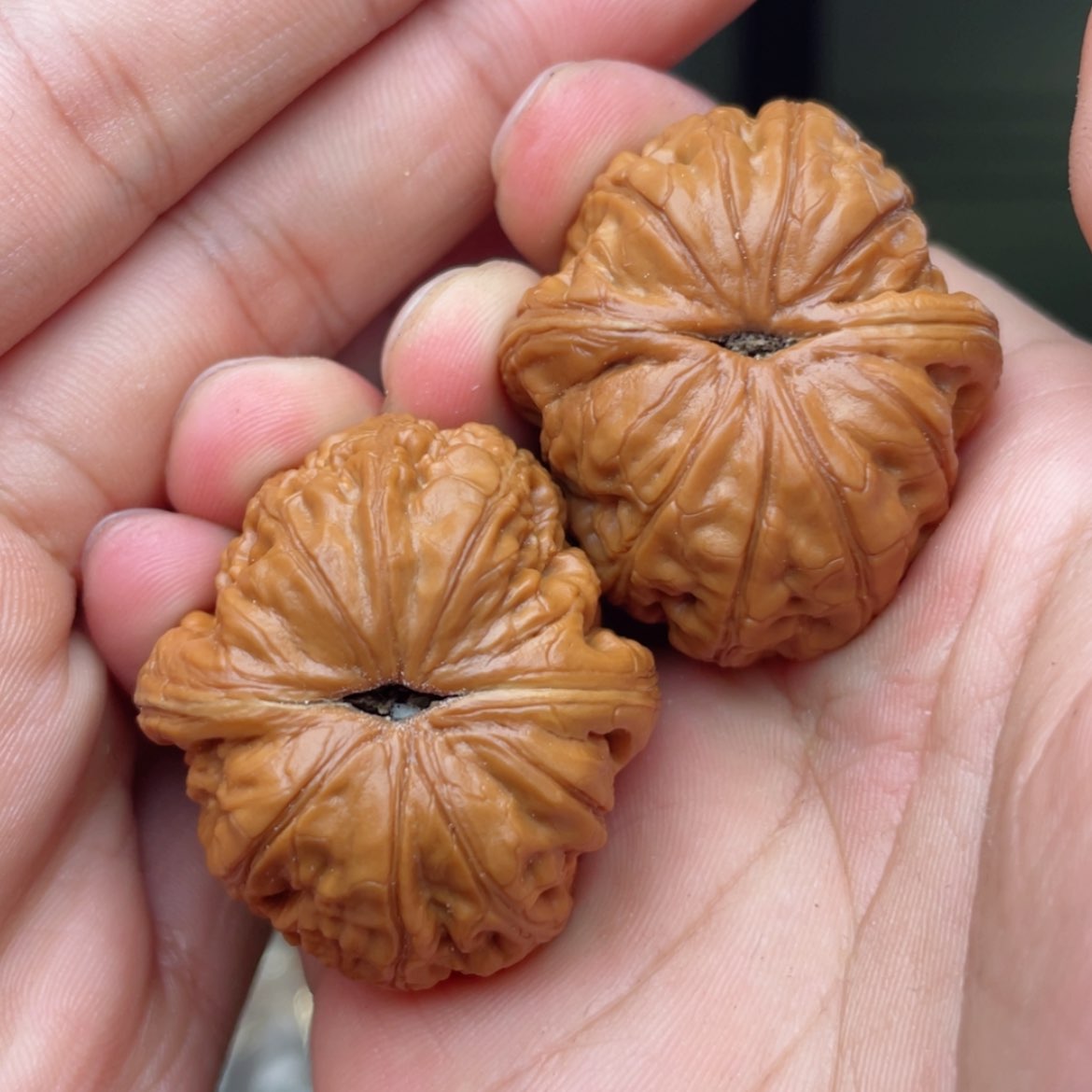 【闪购商品】桃核吊坠