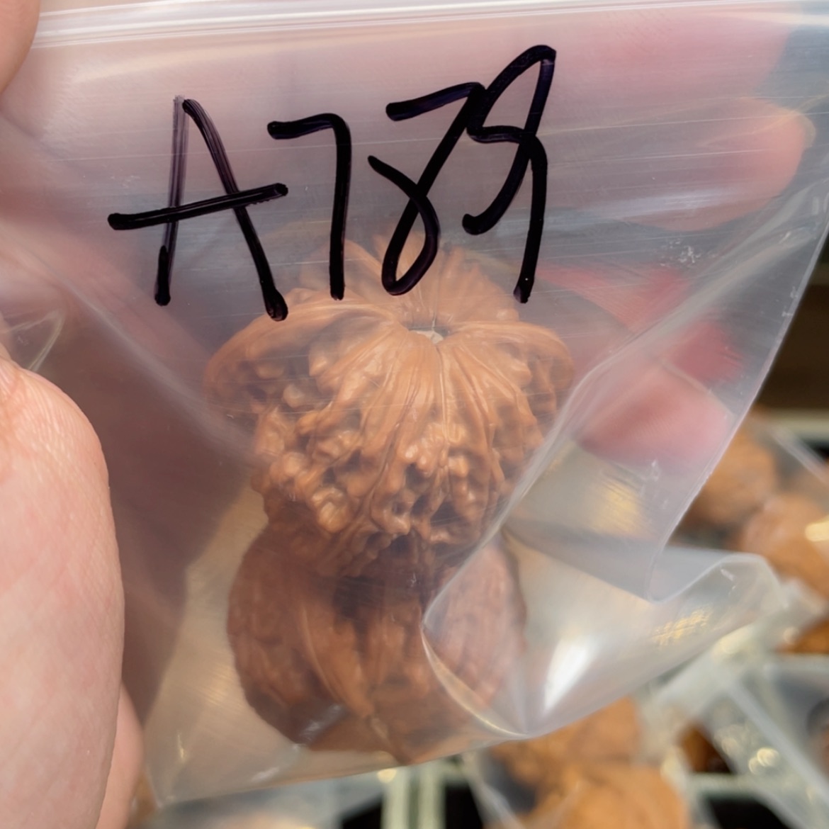 【闪购商品】桃核吊坠