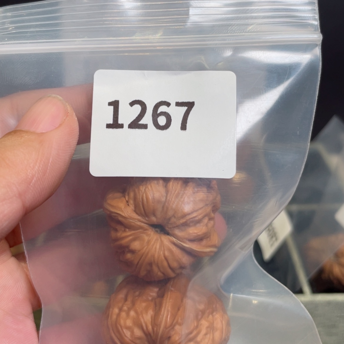 【闪购商品】桃核吊坠