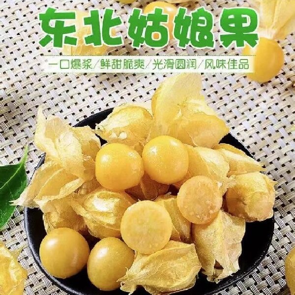东北菇娘果 小树揪菇娘 现摘现发 产地直发