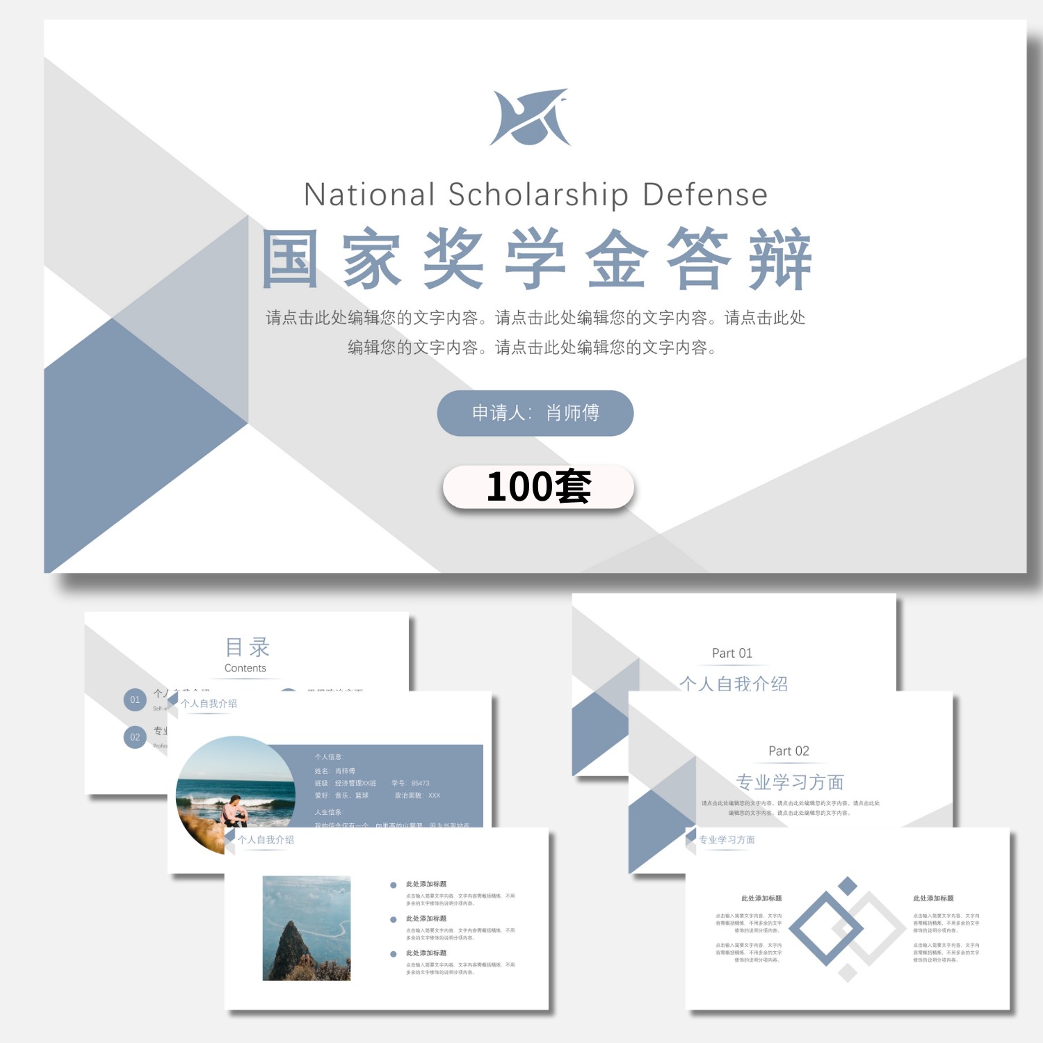 PPT模板大学生研究生奖学金国家奖学金答辩评比评审学习设计