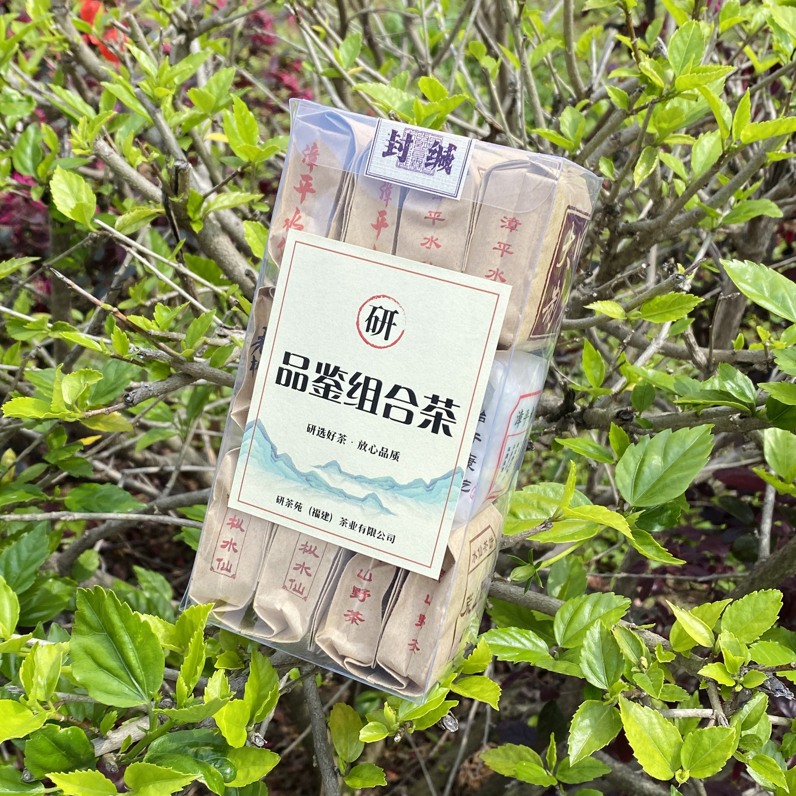 【品鉴组合】兰花香 奶香 粽叶香等六种口味漳平水仙乌龙茶品鉴试喝