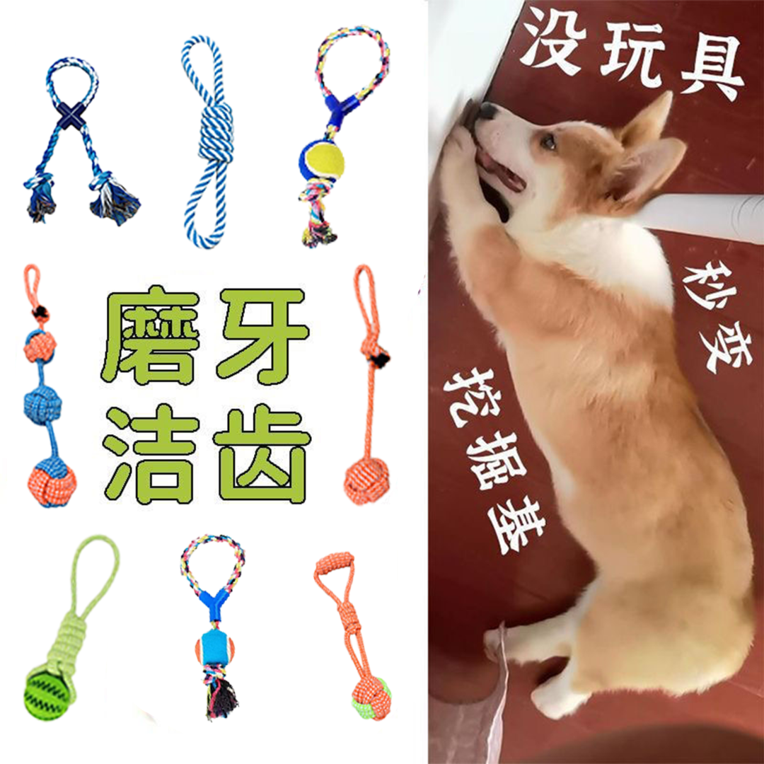 【福利宠物玩具】绳结磨牙狗狗磨牙自己狗狗玩具用品玩具小狗