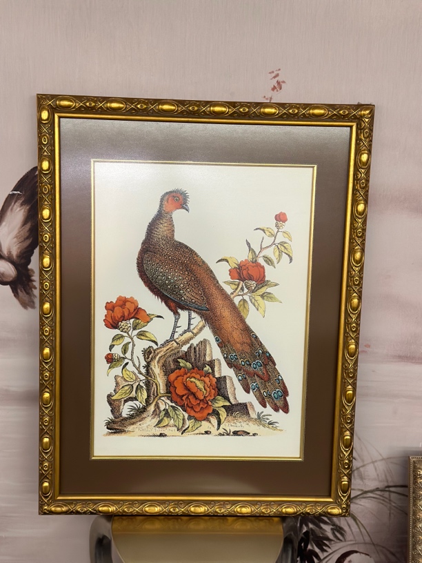 欧式复古孔雀装饰画85x65cm客厅背景墙高档挂画卧室床头壁画