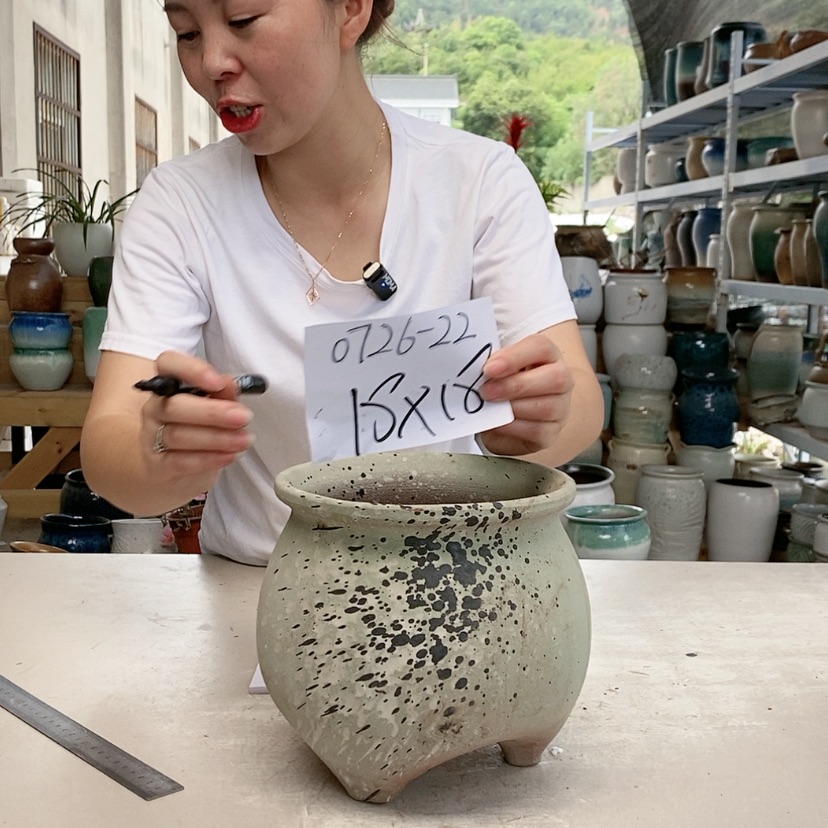 【闪购商品】王嫂花盆0726-22微瑕