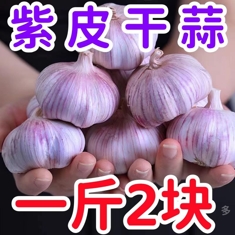 2023山东金乡紫皮大蒜干蒜头蒜苗农家自种腊八蒜泡蒜1/3/5斤大果