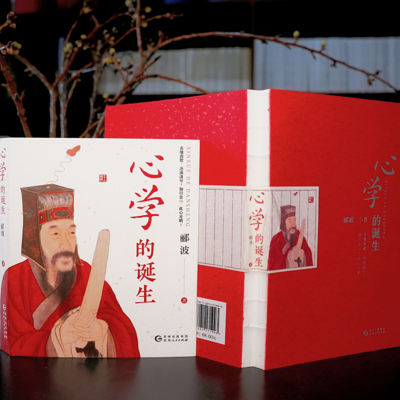 图书《心学的诞生》