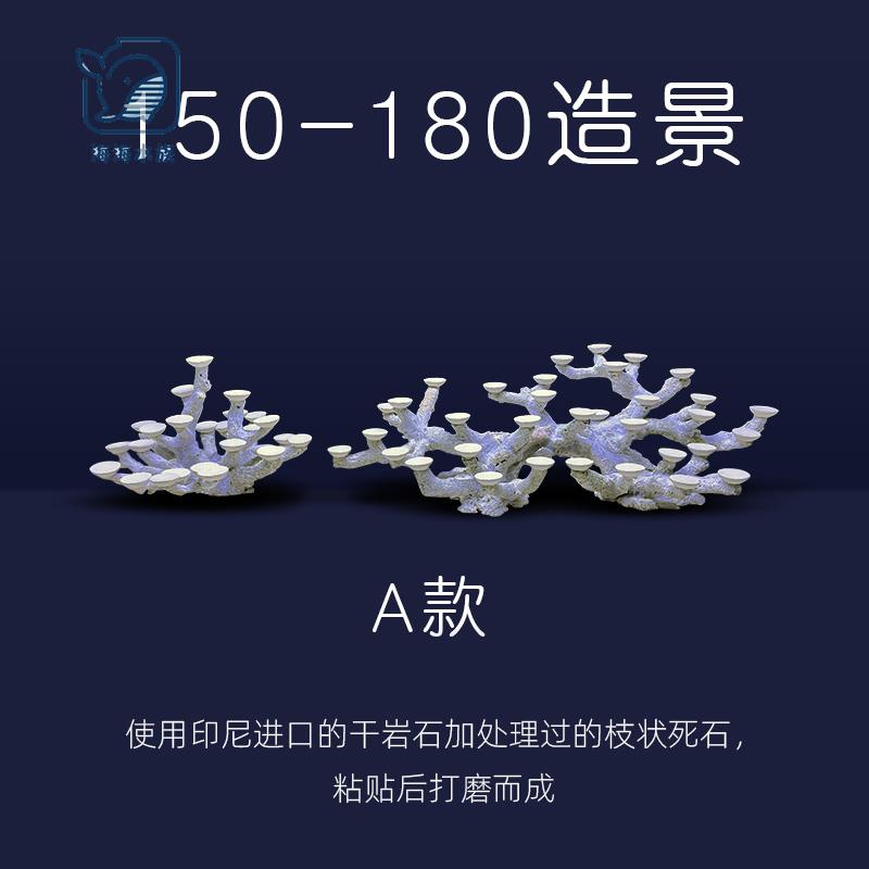 幽影微缸造景150-200缸屏风缸迎客松造景树枝状造景鱼缸造景装饰