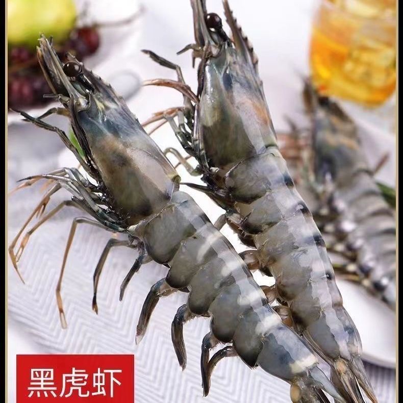【活冻黑虎虾】超大黑虎虾 每斤6-8条 肉质紧实劲道鲜甜 可选2-5斤