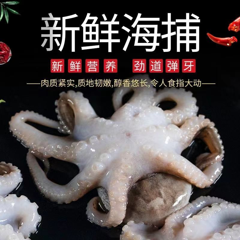 【保鲜不包活】野生海捕短腿八爪鱼，新鲜发货！