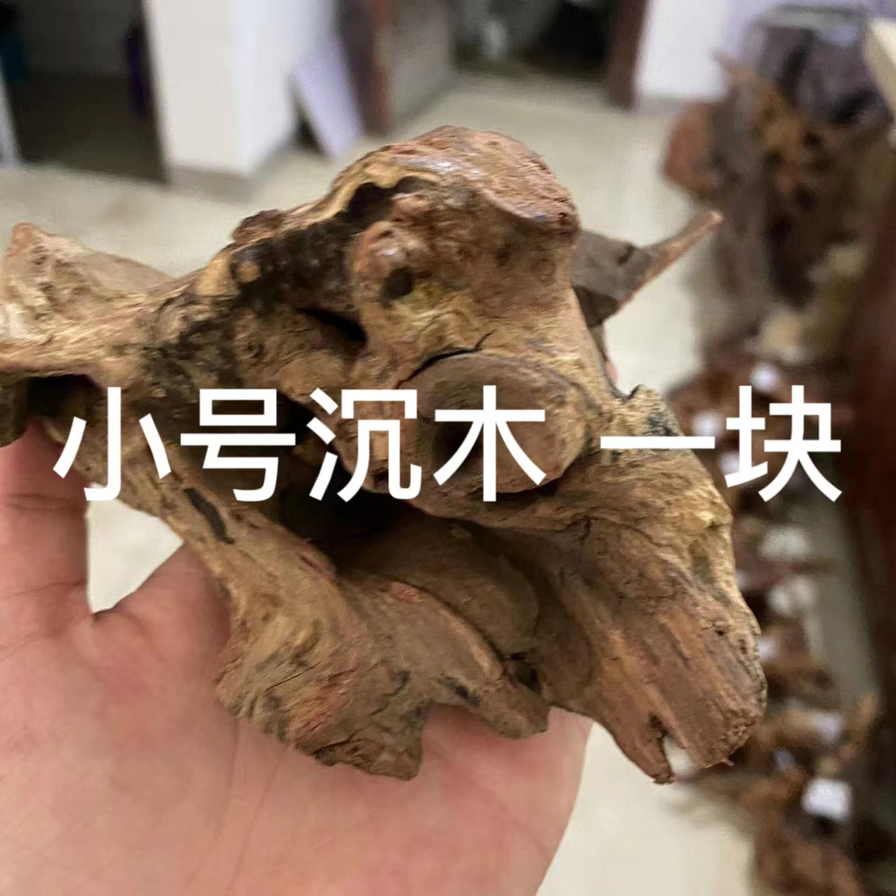 小号精品沉木一块~