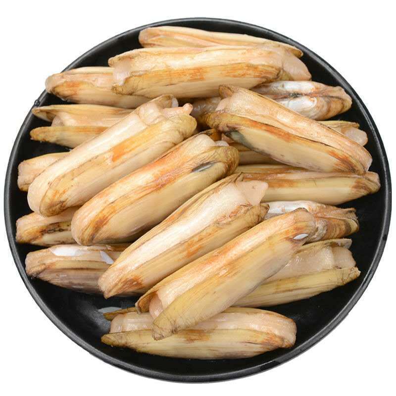 【蛏子】   鲜活蛏子海蛏  肥嫩营养  饱满新鲜