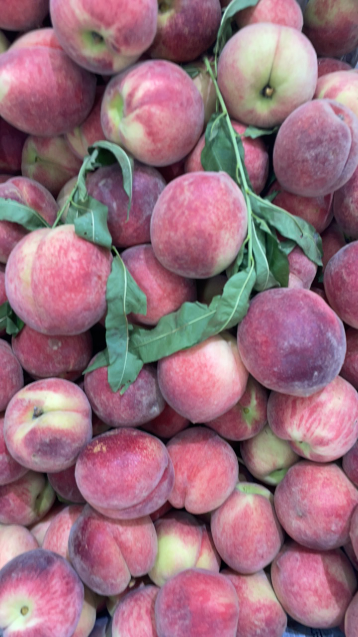 雨花露水蜜桃4斤