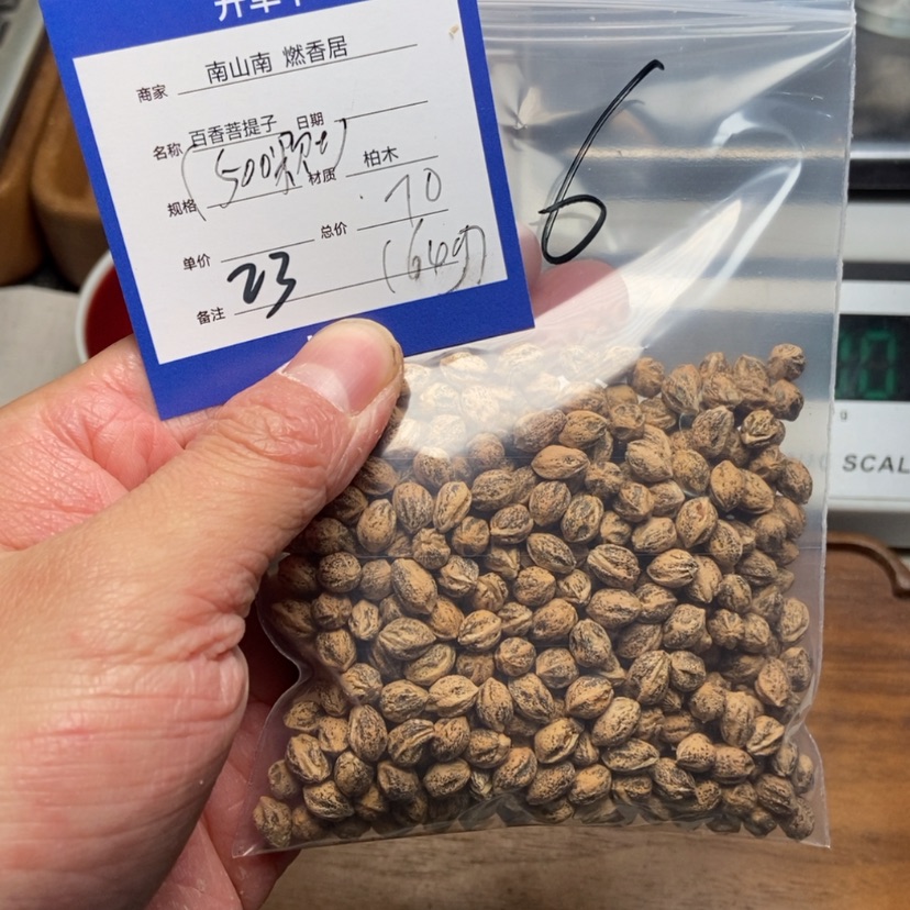 【闪购商品】柏香籽/百香籽吊坠一****阳