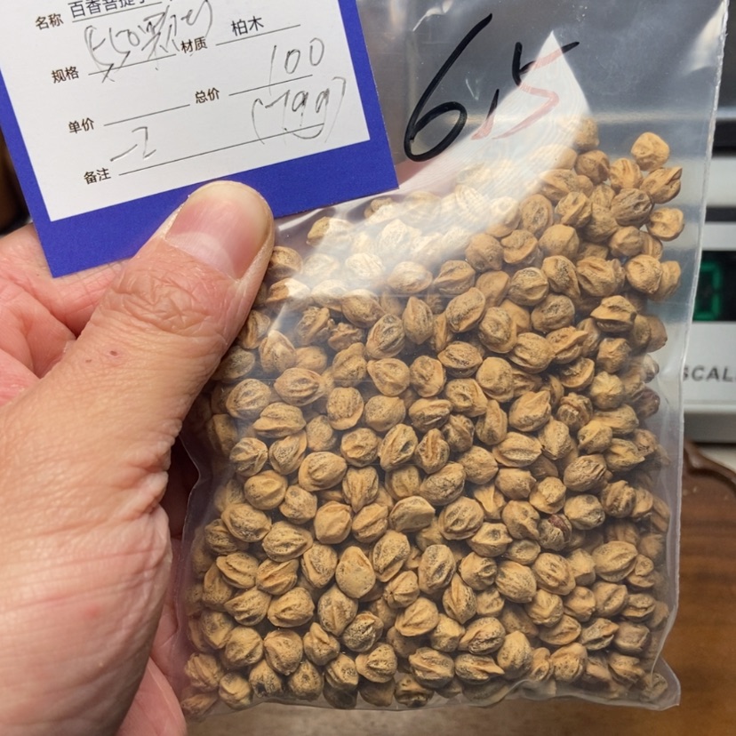 【闪购商品】柏香籽/百香籽吊坠?**眠