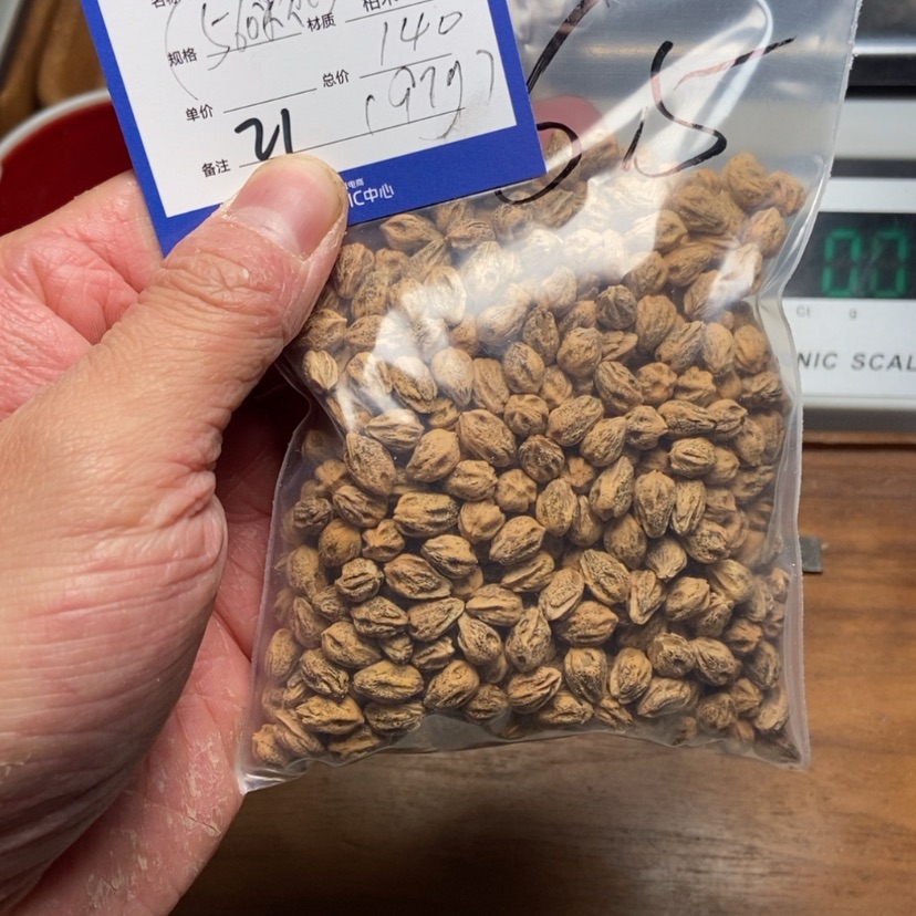 【闪购商品】柏香籽/百香籽吊坠俊**法