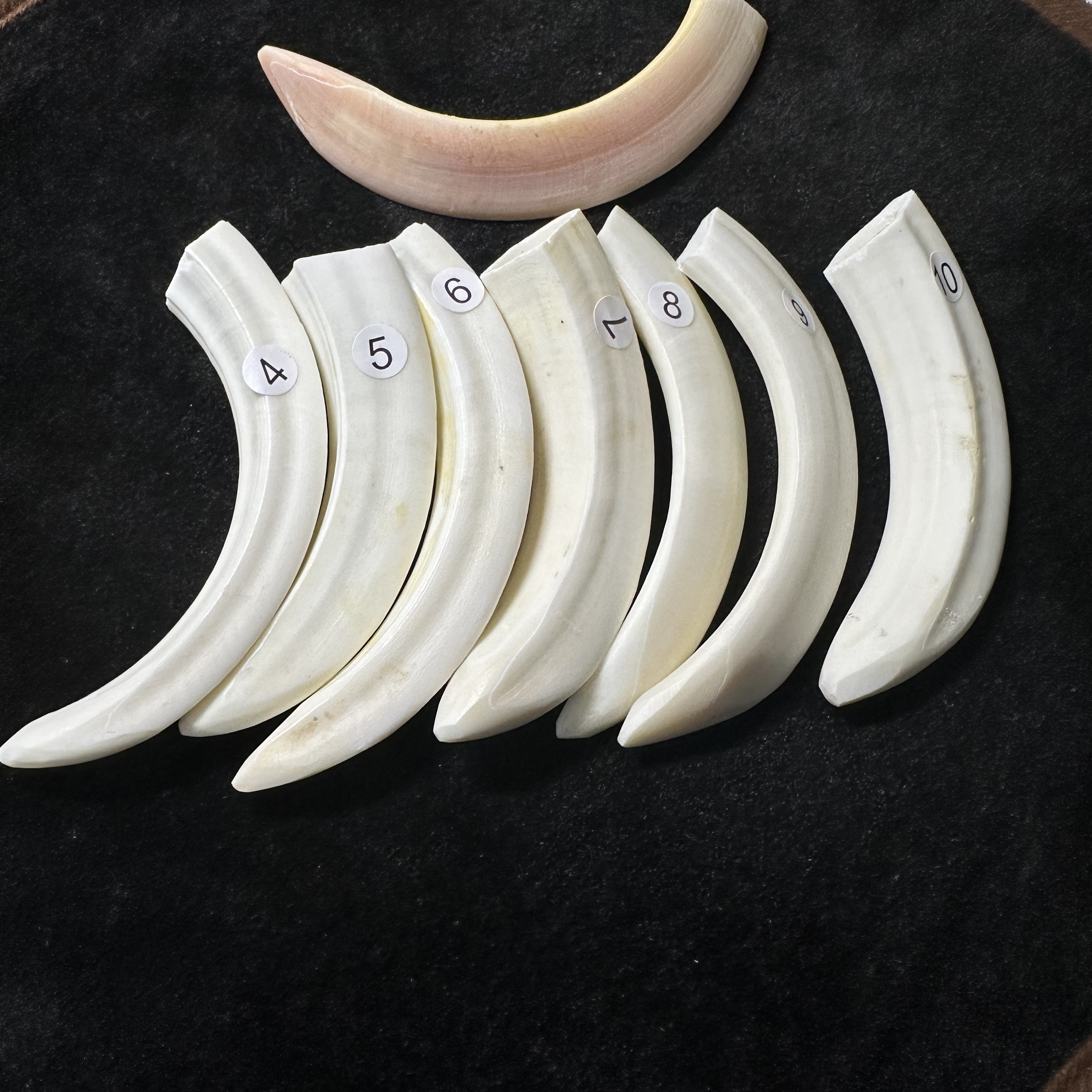 八戒牙根雕手把件挂坠根雕