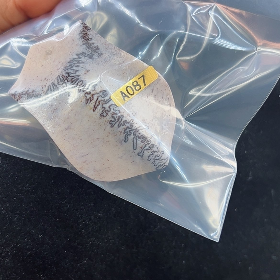 【闪购商品】鹿骨吊坠牛*