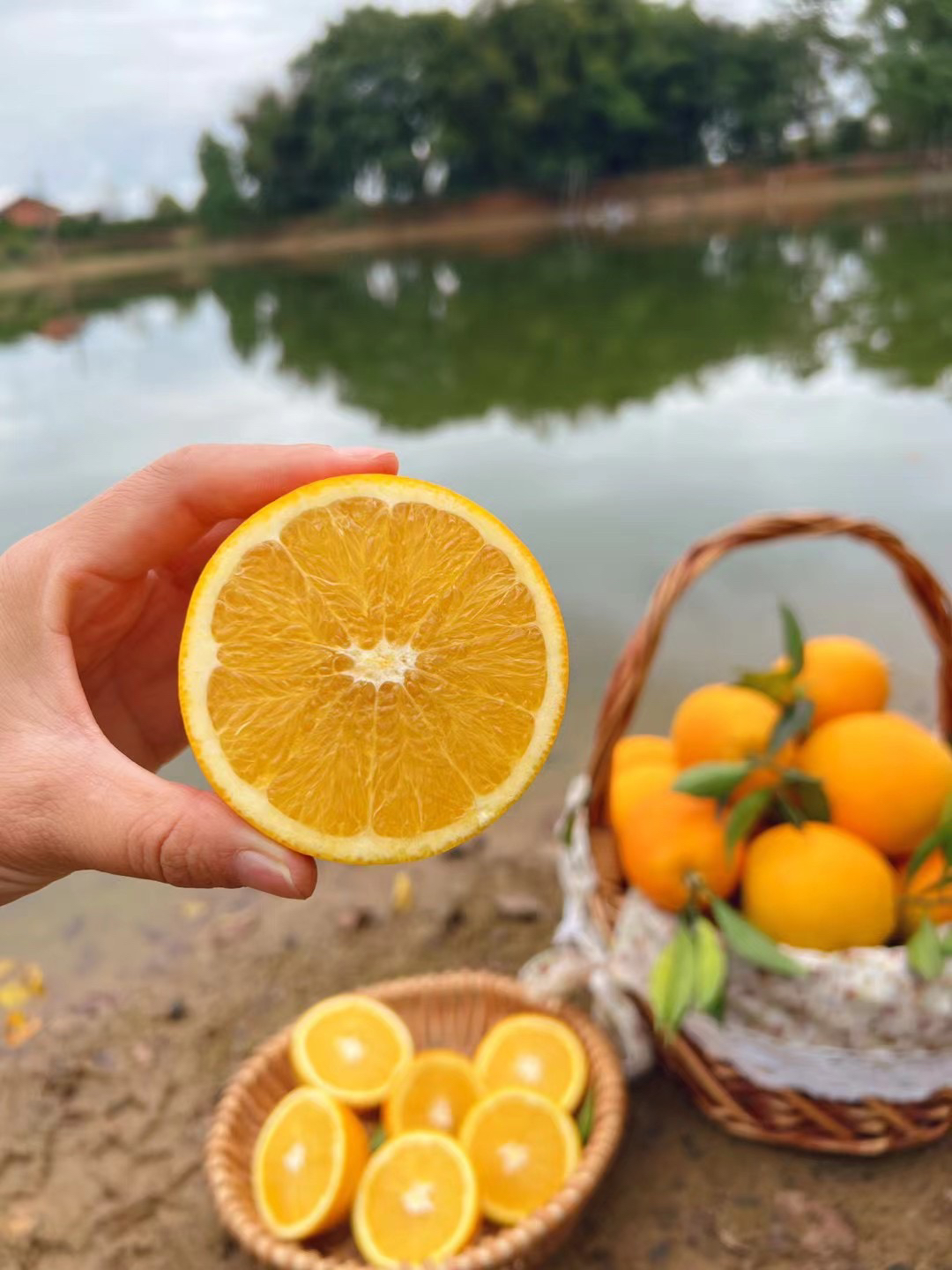 江西赣南脐橙信丰橙子10斤精品果包邮新鲜当季水果江西正宗脐橙