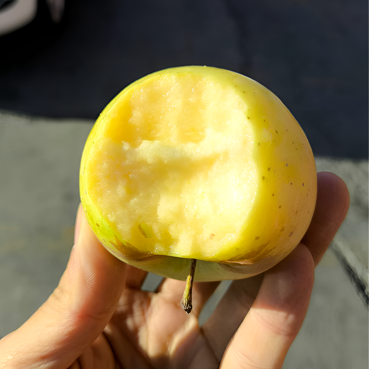 全国包邮新疆王林苹果当季新鲜水果1脆甜多汁