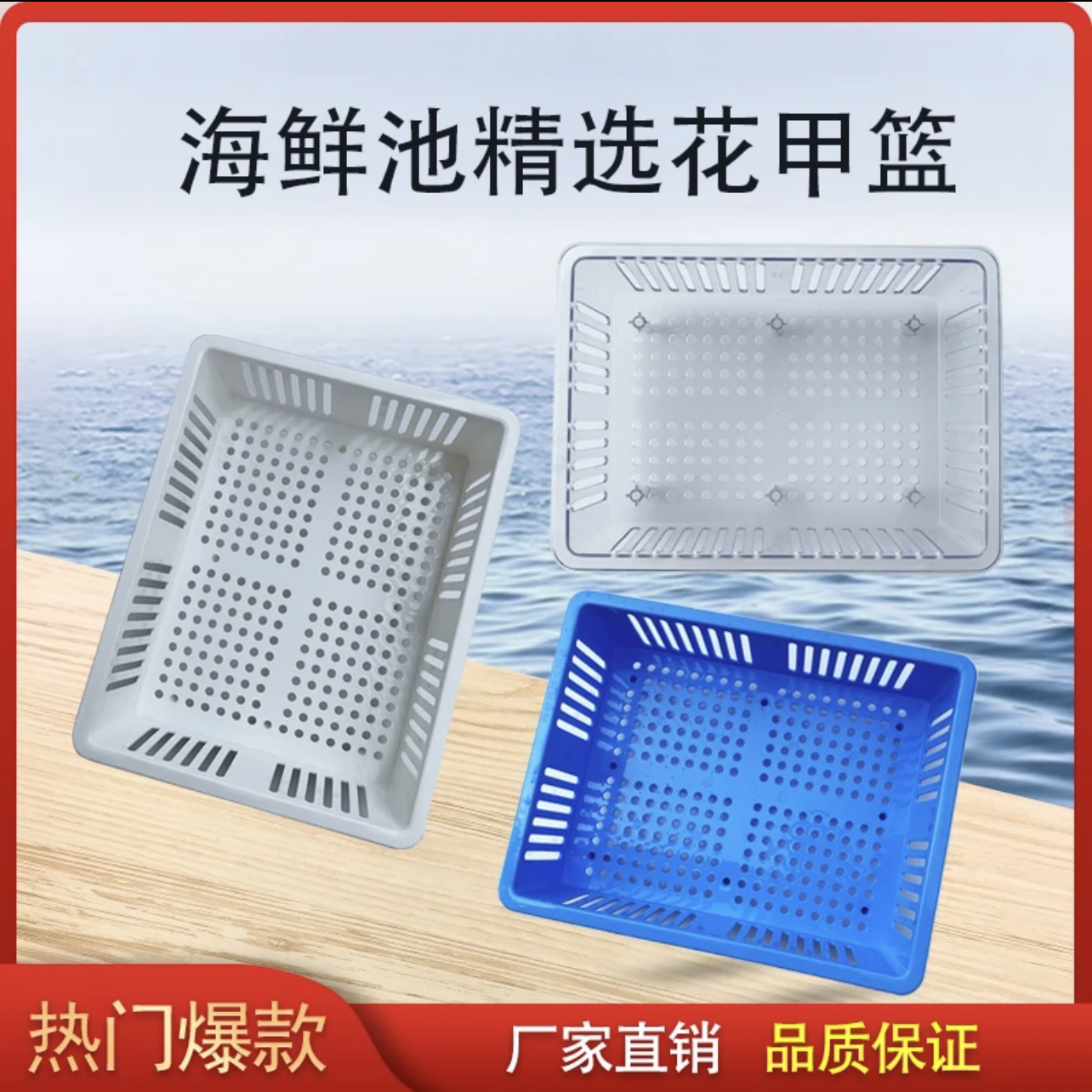 花甲篮花甲筐贝壳花蛤流水吐沙盒塑料筐透水篮水产海鲜鱼池必备