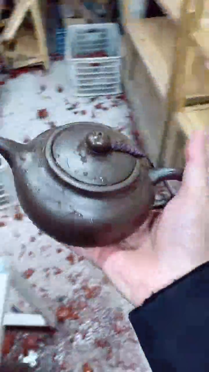 【闪购商品】紫砂茶壶ZS07