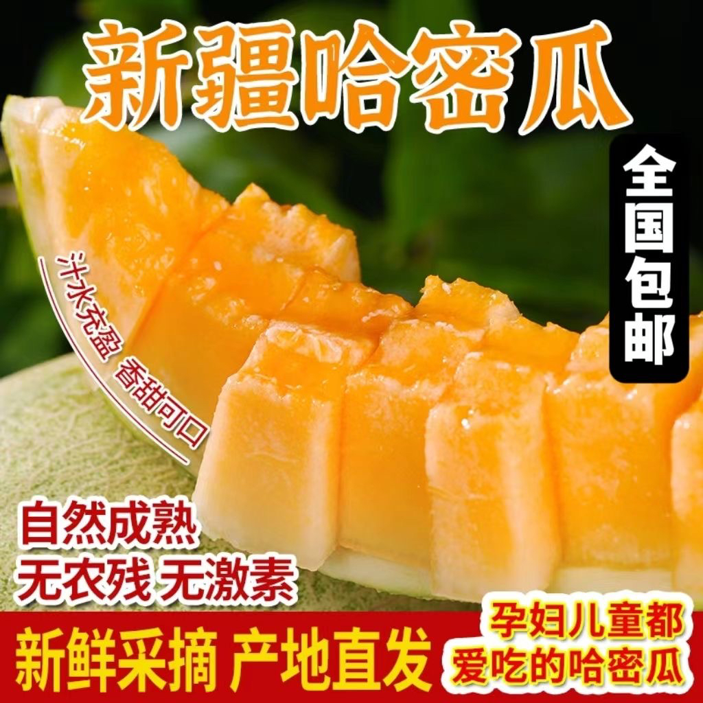 正宗新疆哈密瓜火焰山蜜瓜皮薄脆甜爆汁新鲜现摘