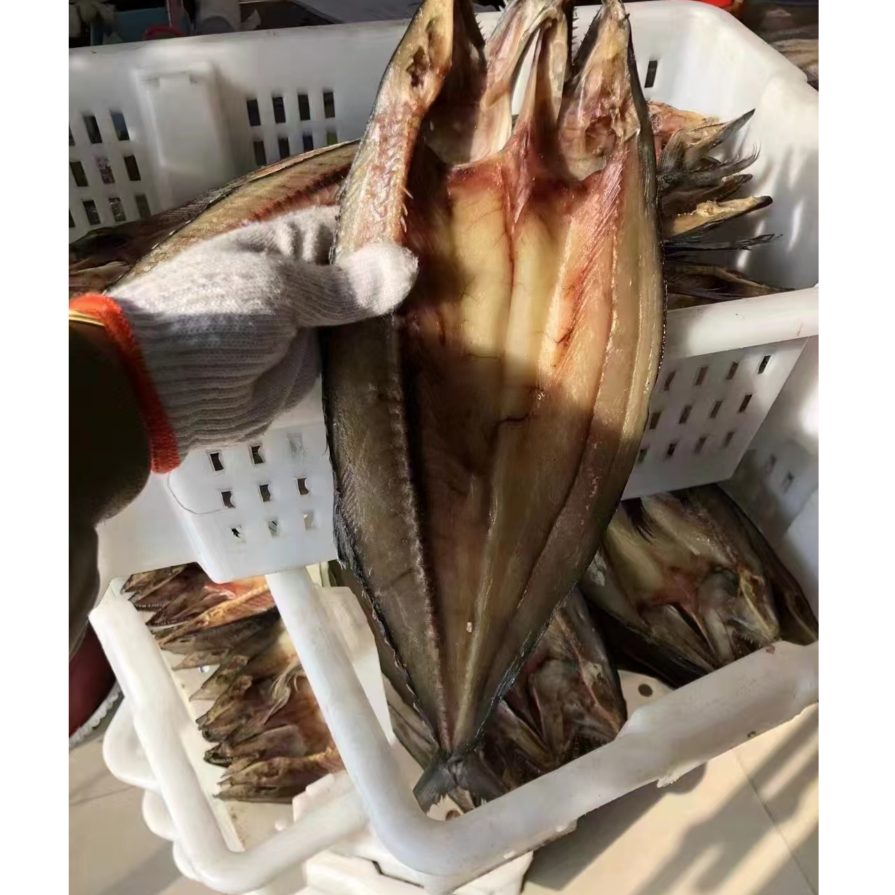 【红岛渔民】青岛本地甜晒鲅鱼干 四条装（每条9两-1斤）