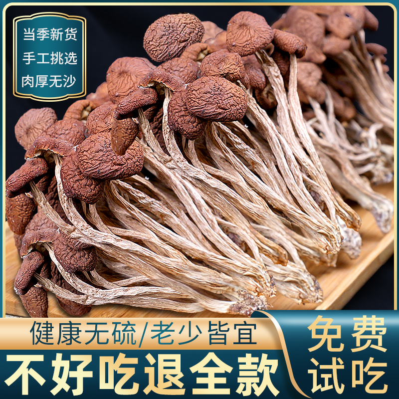 正宗云南茶树菇干货500g煲老鸭汤散装批发新鲜一特产菌菇蘑无硫级