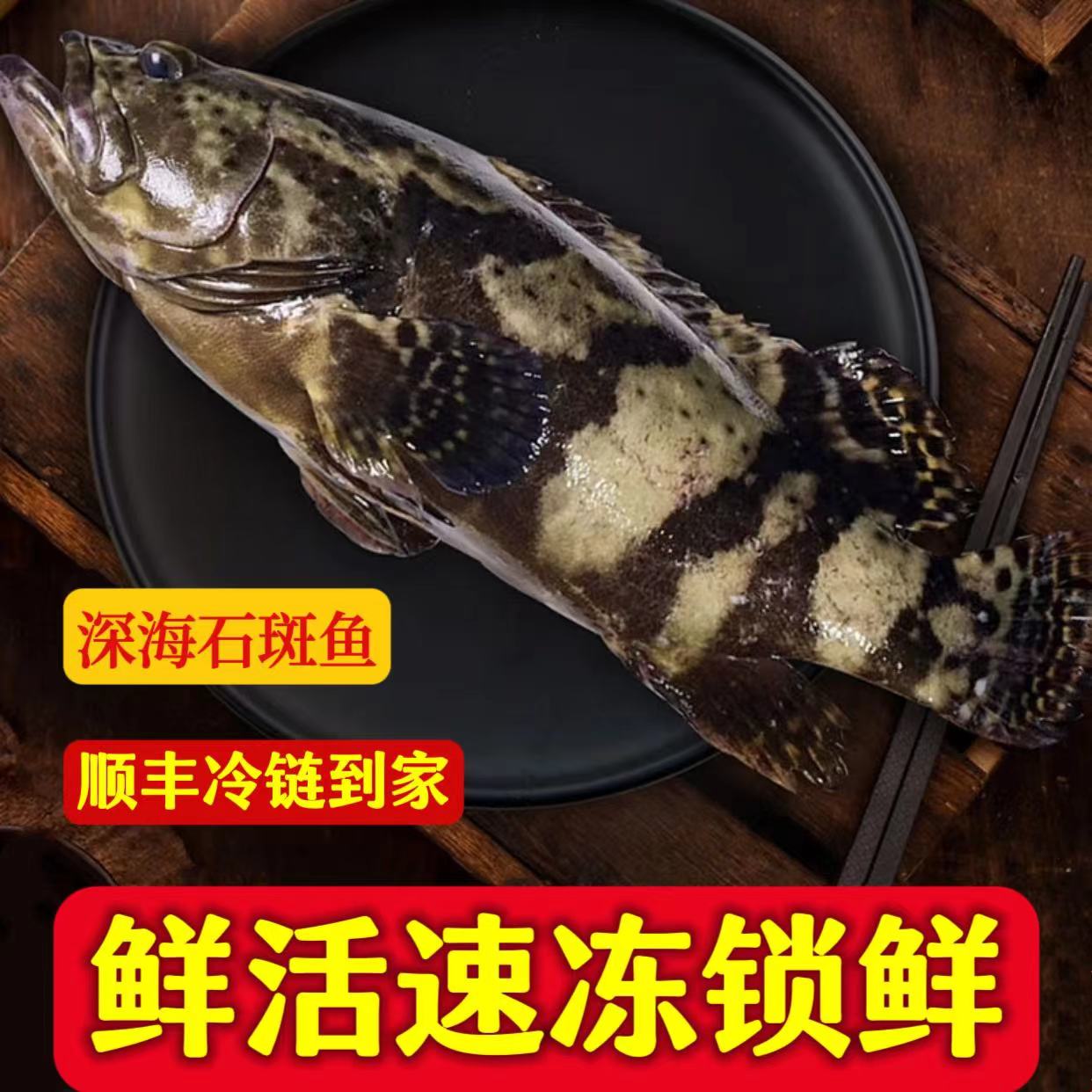 帮杀1.7斤-1.9斤/条 深海龙胆珍珠石斑鱼 鲜活速冻锁鲜 顺丰发货