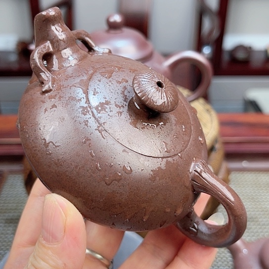 紫砂茶壶今天不知道