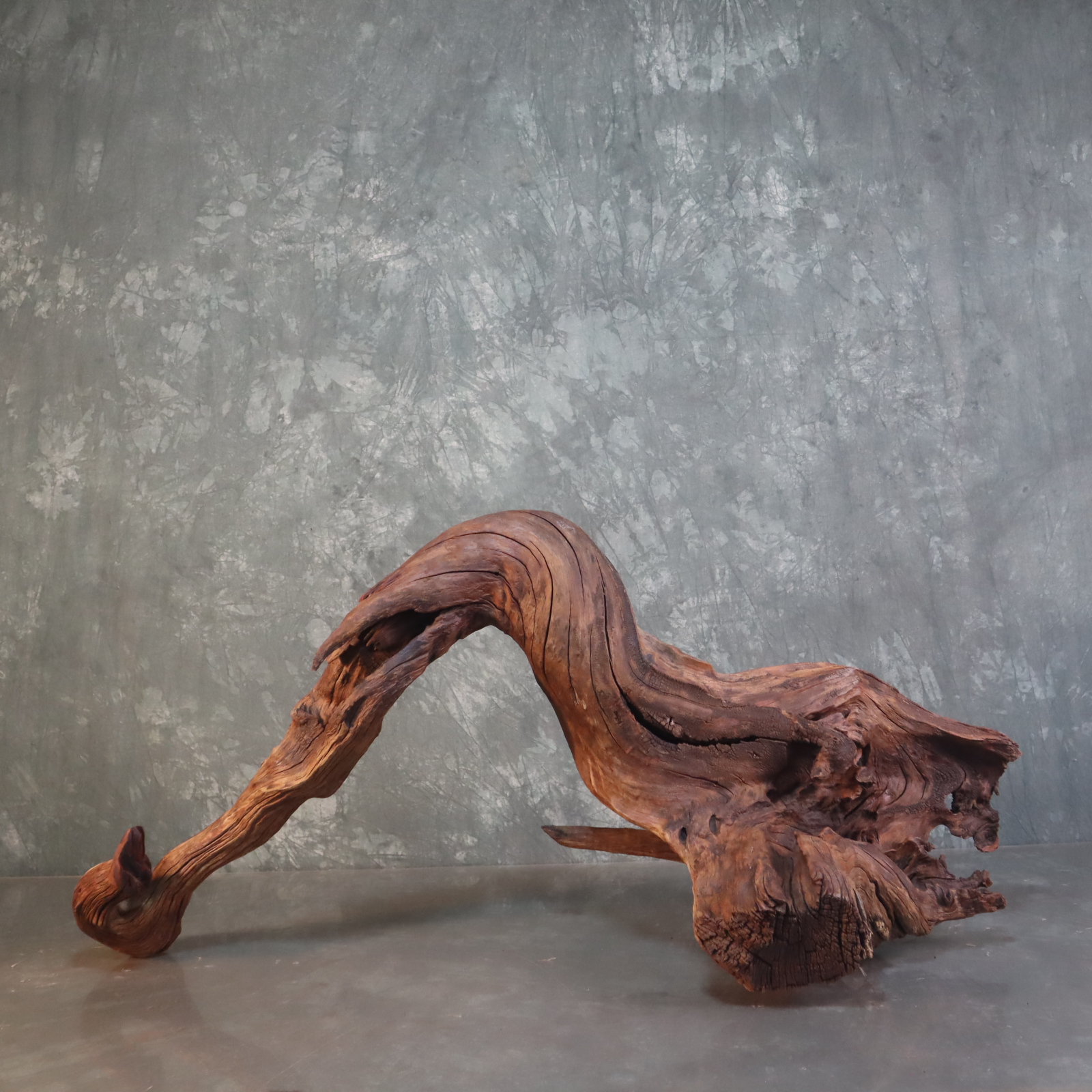 水族鱼缸造景沉木紫柚木尺寸：118*39*55秒沉水、顺丰包邮、免费煮