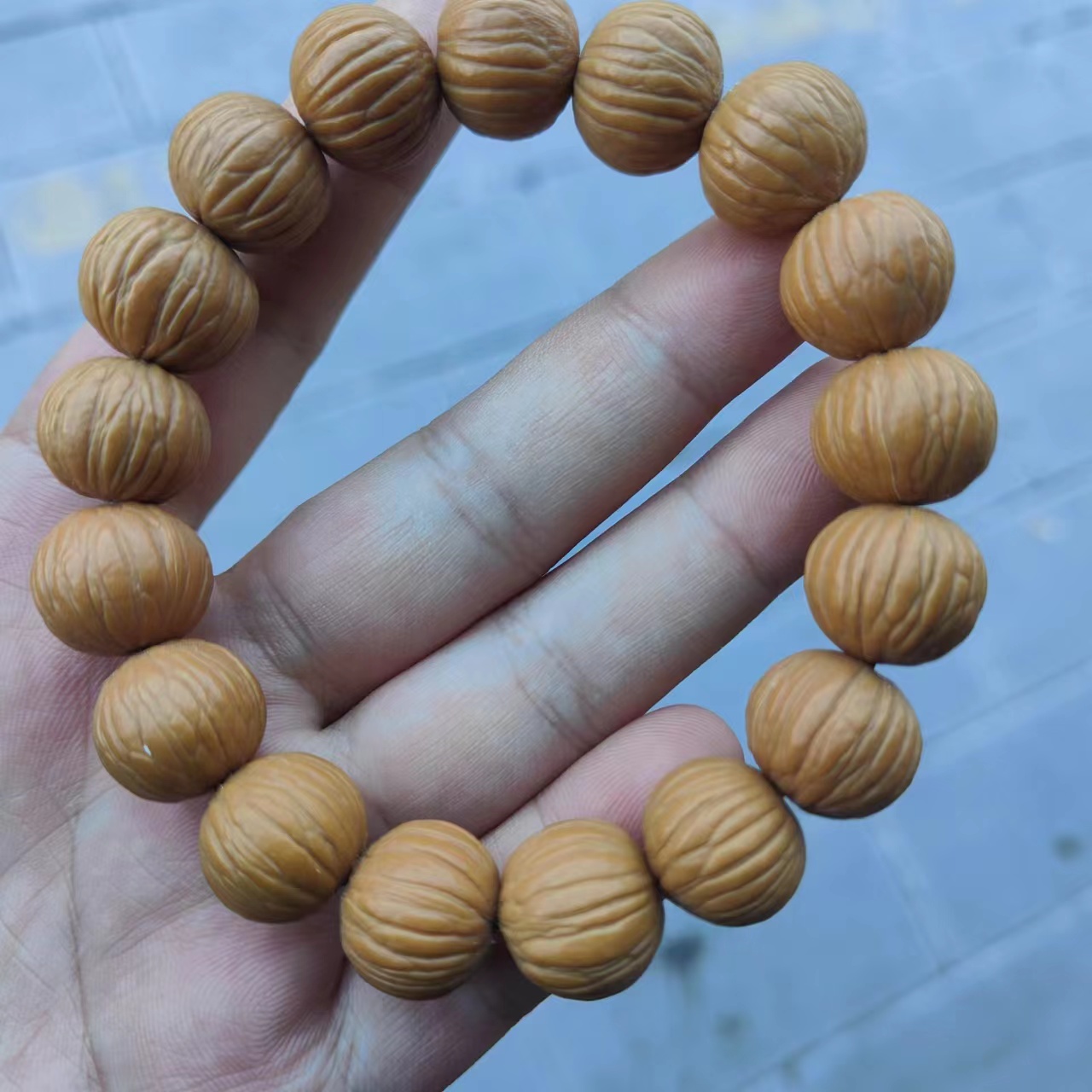 （曹大掌柜甄选）土豪猴头单圈 尺寸15左右