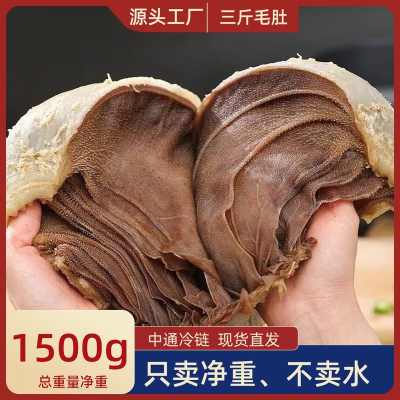 净重3斤毛肚整个爽脆牛肚牛百叶菜食材 固形物含量大于等于95%