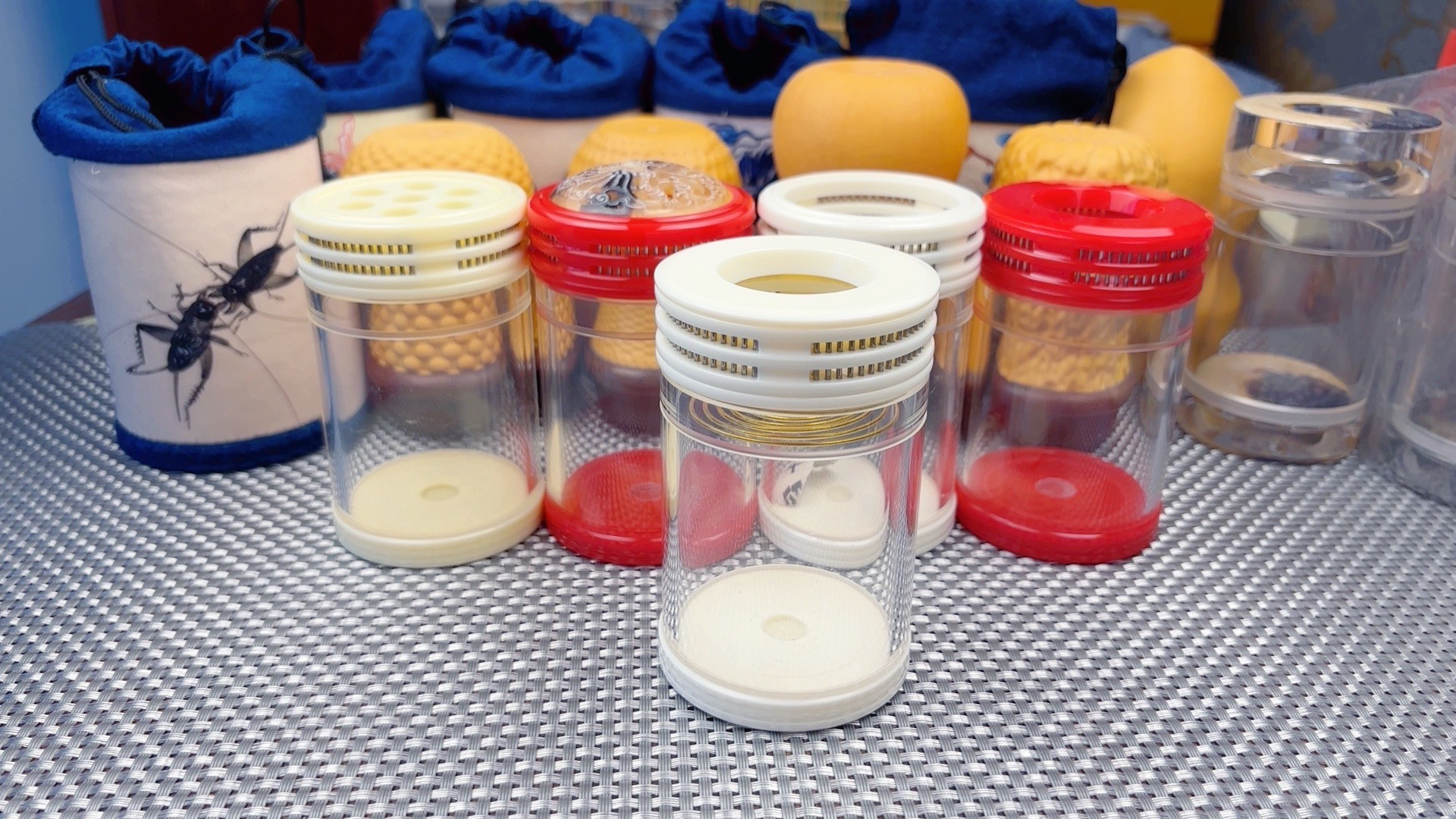 老谭罐蝈蝈叫罐60直径有机玻璃鸣虫罐鸣虫有机玻璃蝈蝈叫罐高8