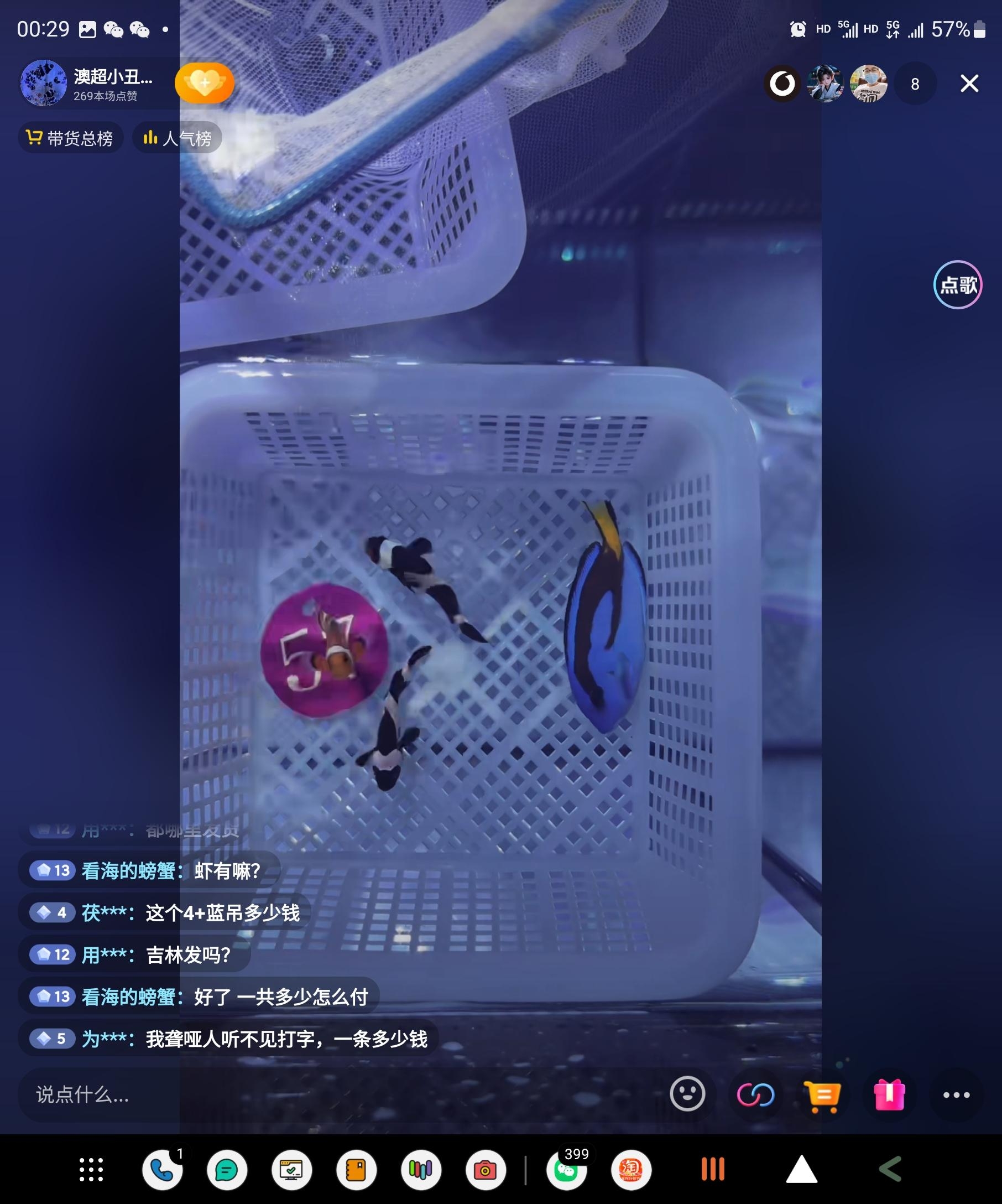 热带海水鱼尼莫小丑鱼