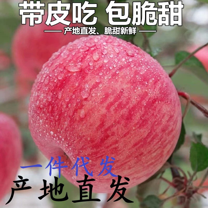 烟台营养重量苹果山东红富士冰糖心苹果当季新鲜脆甜多汁好看